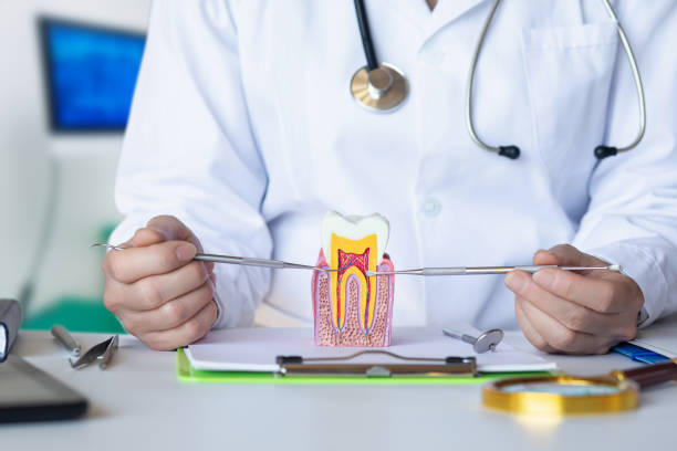 Best Dental Abscess Treatment in Jennerstown, PA